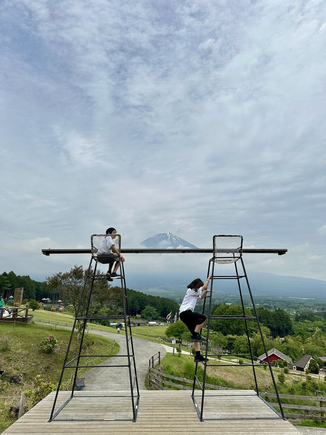 可愛度滿分的富士山馬飼野牧場！