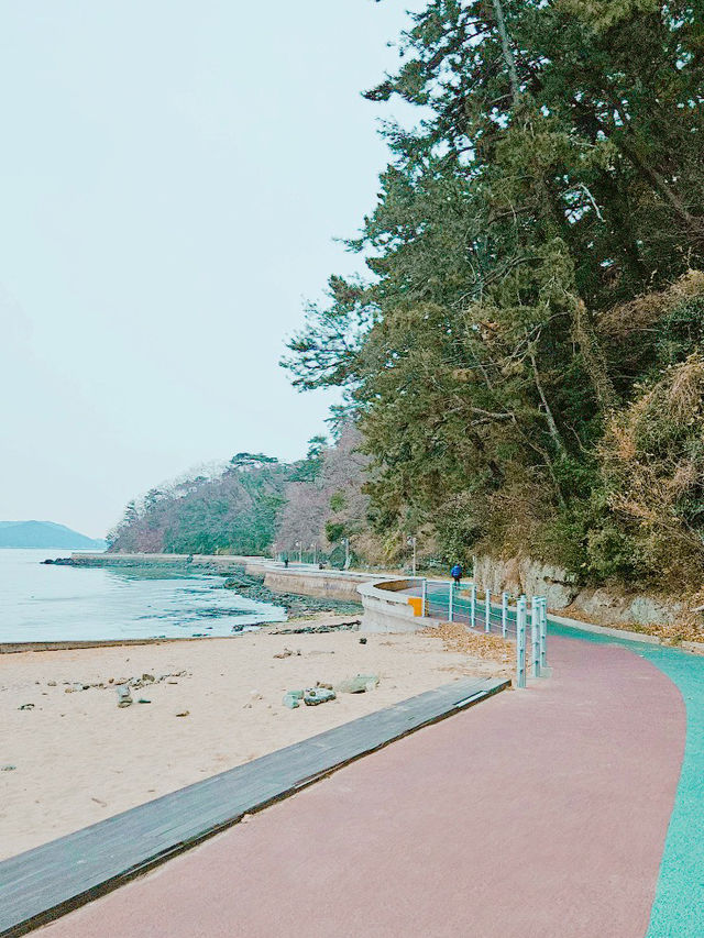 겨울에 걷기 좋은 여행지💙