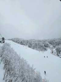 아름다운 설경이 있는 스키장❄☃️