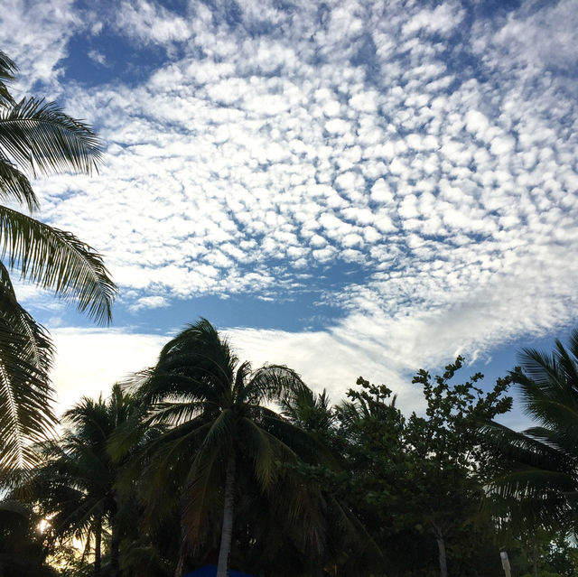 Hidden Paradise in Palawan