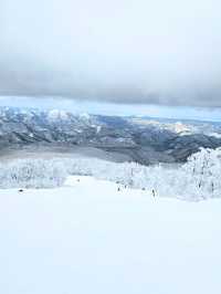 【秋田】日本三大樹氷『森吉山阿仁スキー場』