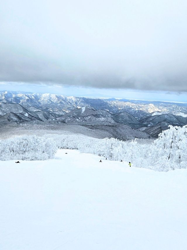 【秋田】日本三大樹氷『森吉山阿仁スキー場』