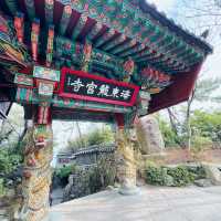 A Serene Escape at Yonggungsa Temple 🇰🇷