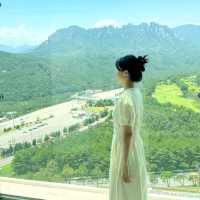 뷰 끝판왕 고성 소노펠리체 카페 더엠브로시아 ⛰️🌿