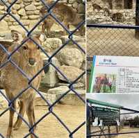 【大邱】無料で楽しめる動物園がある市民憩いの場【達城公園】　