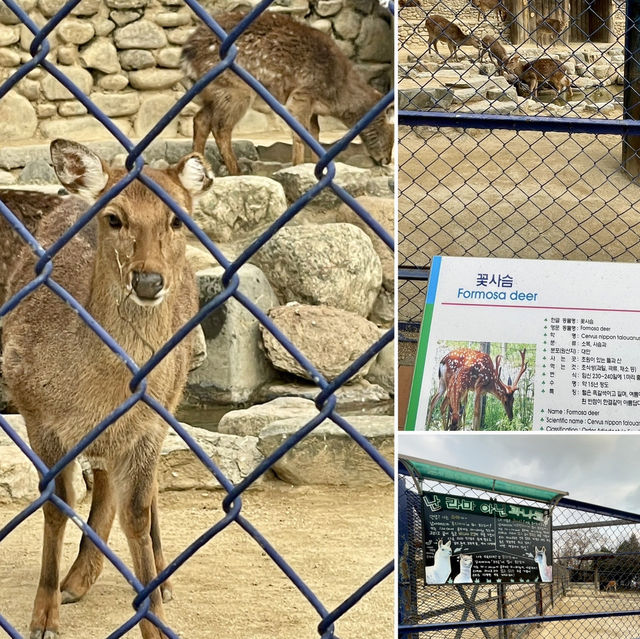 【大邱】無料で楽しめる動物園がある市民憩いの場【達城公園】　