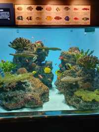 Dive into Discovery: A Day at Tokyo Sea Life Park