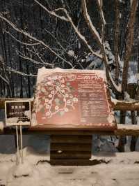 동화속마을에 들어와 있는듯한 닝그루테라스❄️🤍