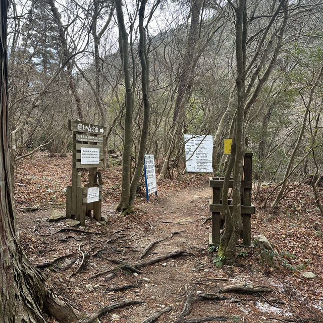 🇯🇵漫步有馬溫泉療癒之森🌲