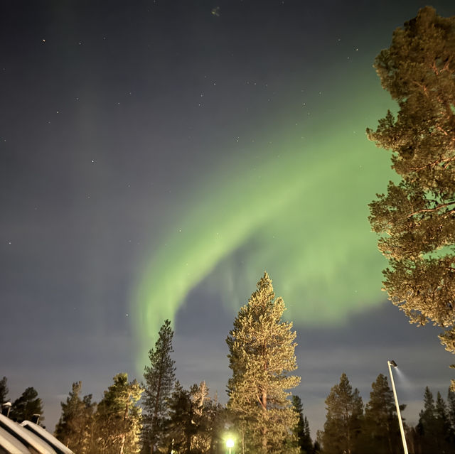 Catching Auroras 