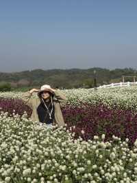 แม่สอด เมืองรอง ชวนให้เที่ยว