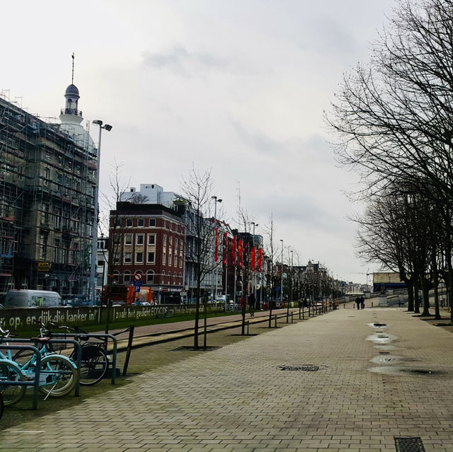 Antwerp Zoo: A Historical Wildlife Experience