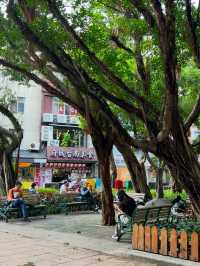 인생샷 100장은 거뜬히 남기는 타이베이 예쁜 공원 총집합!🌳🌴