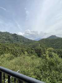 Gaharu Tea Valley: A Tranquil Escape into Nature
