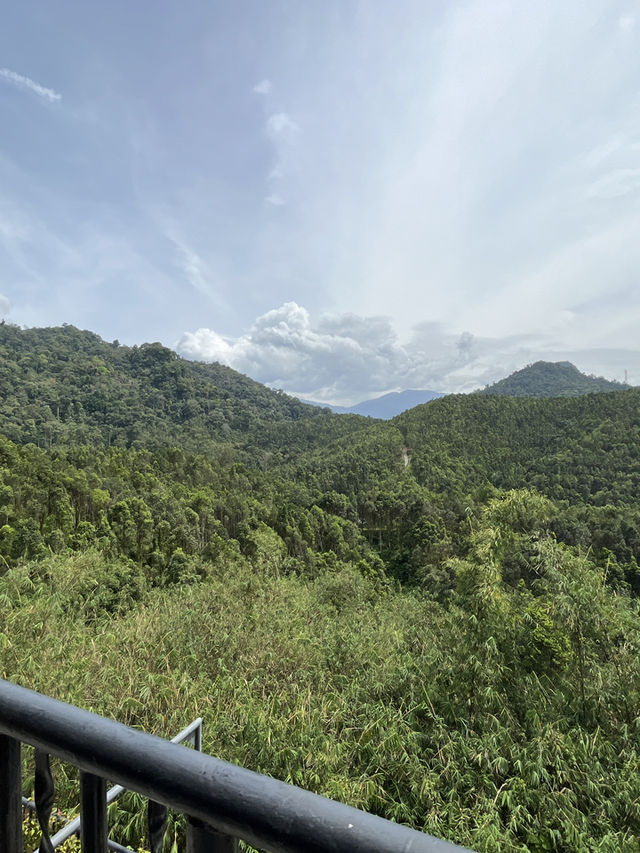 Gaharu Tea Valley: A Tranquil Escape into Nature