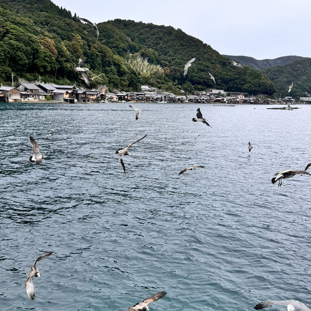 伊根-遠離塵囂