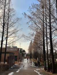 สวนซอนยูโดที่เกาหลี