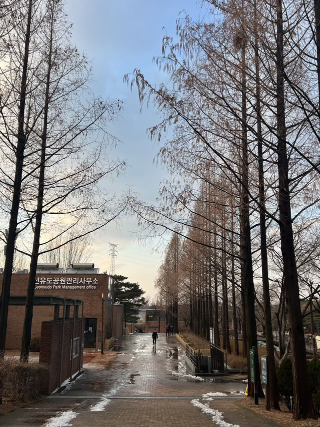 สวนซอนยูโดที่เกาหลี