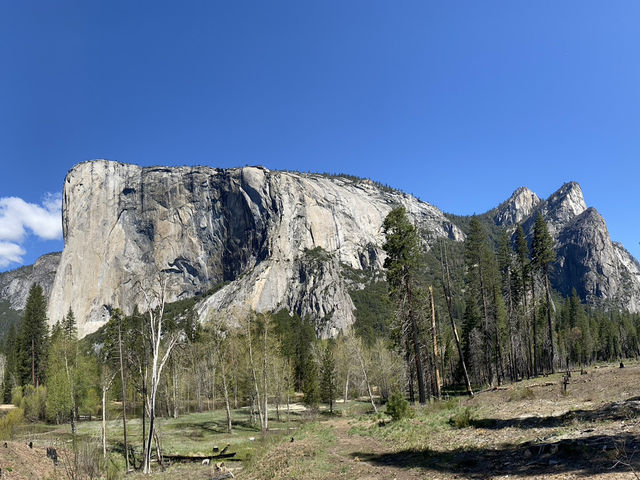Yosemite National Park