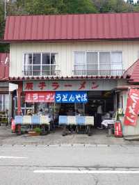 【秋田】神秘と伝説の象徴「たつこ象」の魅力✨