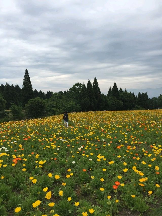 【天国は大分にあった！】
