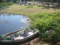 Bucolic Khao Yai คาเฟ่บรรยากาศดีที่เขาใหญ่