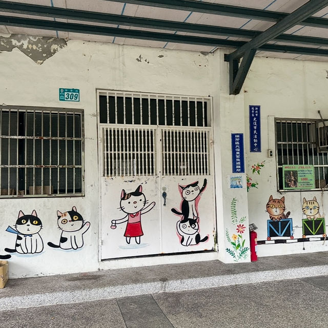 四天三夜輕鬆遊台北