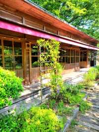 【完全に森の中】材木屋が営むカフェ