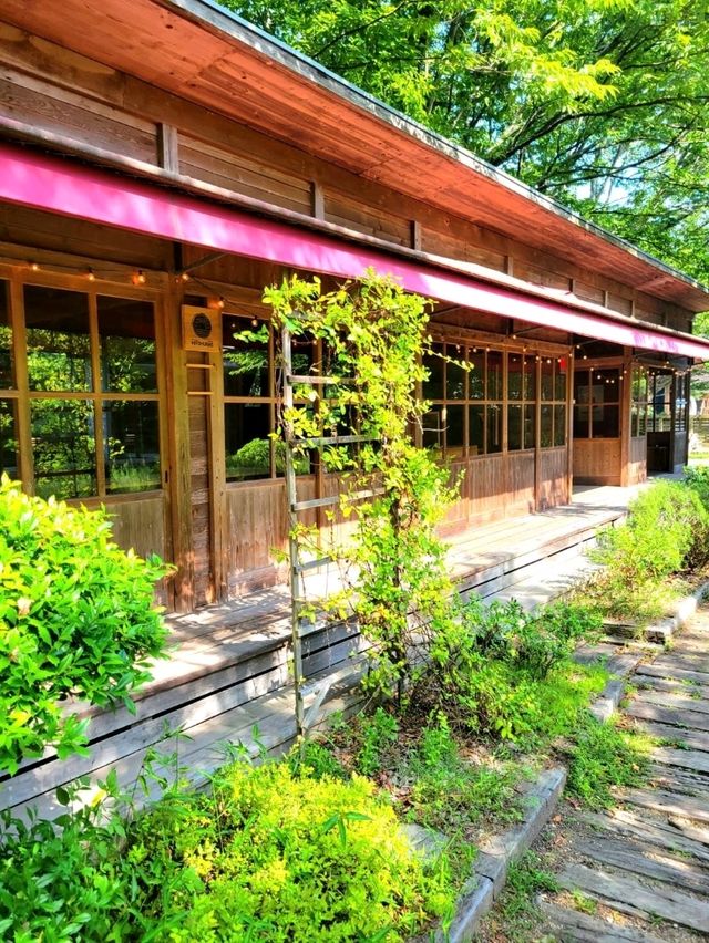 【完全に森の中】材木屋が営むカフェ