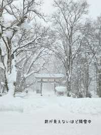 【長野／長野市】雪が降る戸隠神社の杉並木と中社⁡