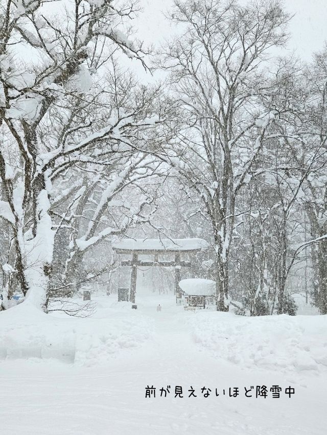 【長野／長野市】雪が降る戸隠神社の杉並木と中社⁡