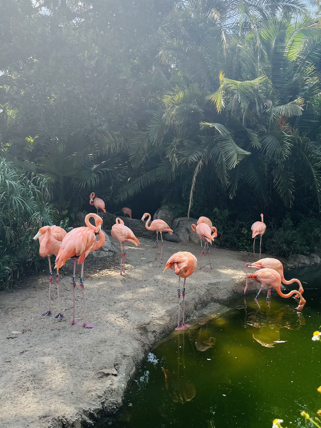 One of the best zoos I have been to!