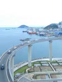 🏝️힐링하러 부산 영도로 떠나요~🌊