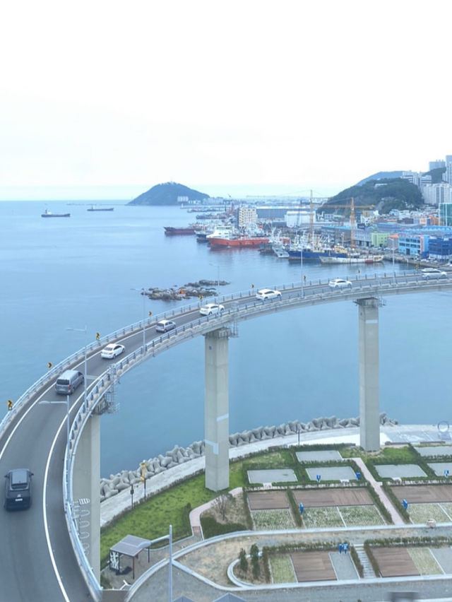 🏝️힐링하러 부산 영도로 떠나요~🌊