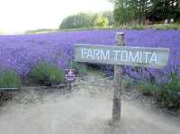 Tomita Farm ฟาร์มโทมิตะ