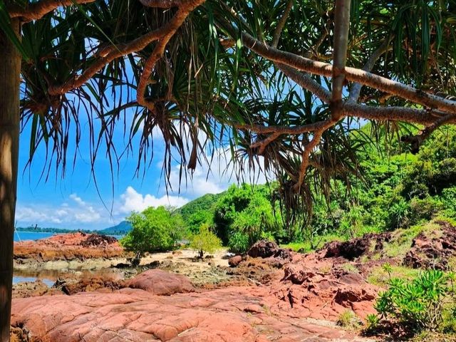 ลานหินสีชมพู  (𝚃𝚑𝚎 𝙿𝚒𝚗𝚔 𝙲𝚘𝚊𝚜𝚝) 💢