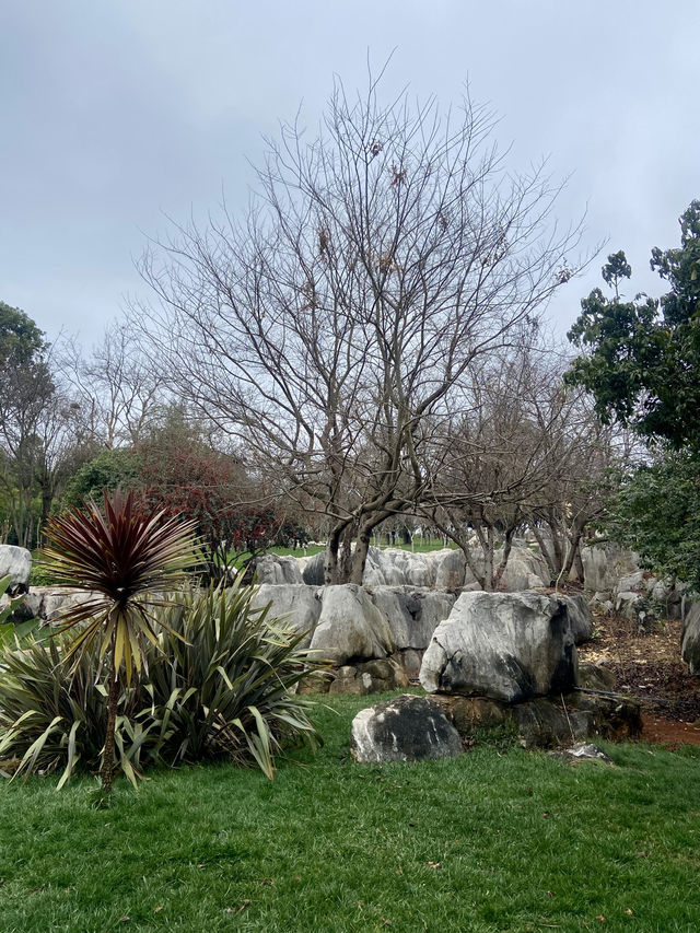 🏞️☺️石林生態公園｜雲林昆明好去處🥾