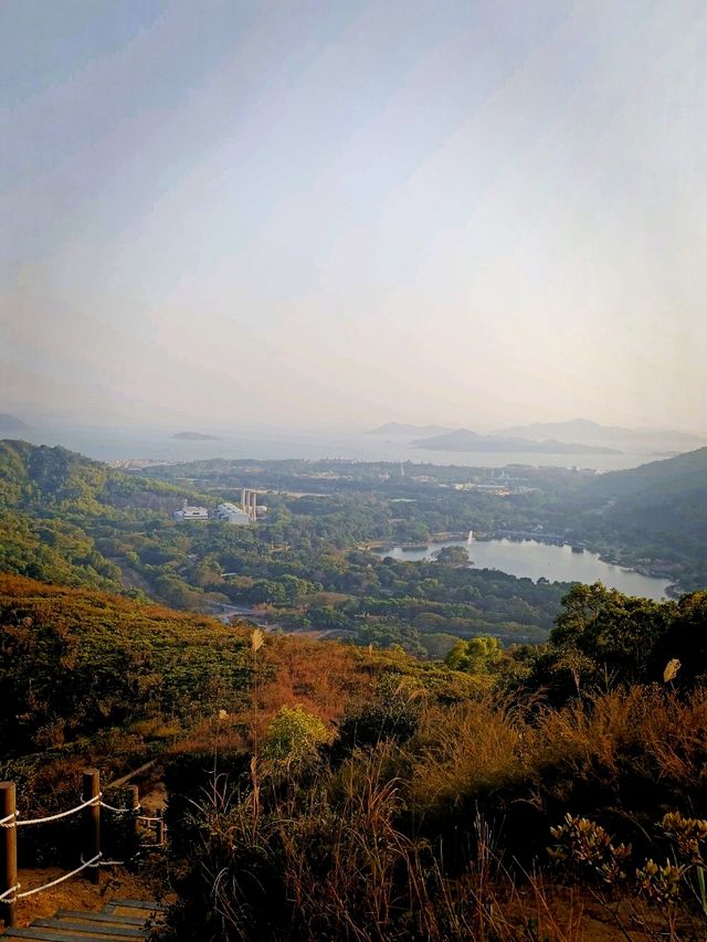 香港郊遊：大嶼山大陰頂(試新路)