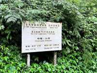 溪頭自然生態風景區