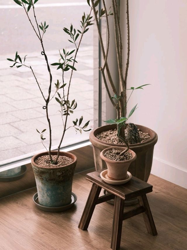 길음역 건강을 생각하는 비건 베이커리 카페🌱