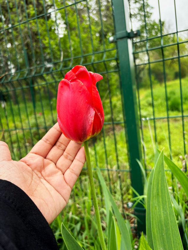 Botanical Garden Almaty, Kazasthan😍