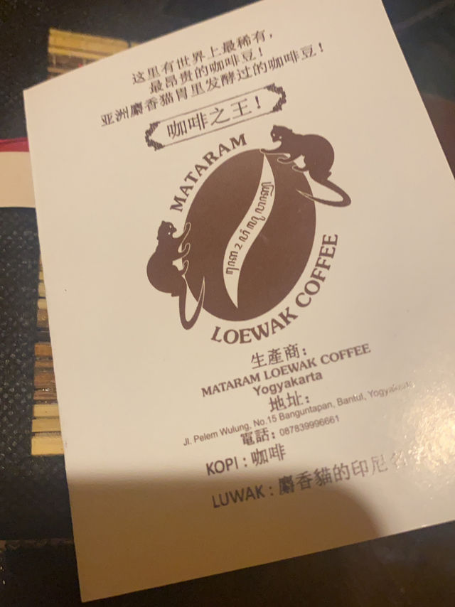 Kopi Luwak Mataram｜免費試喝印尼最貴咖啡☕️必買伴手禮