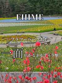 ■フラワーパークおおず
