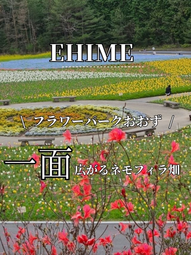 ■フラワーパークおおず
