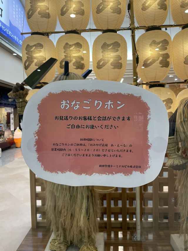 Discover the Charm of Akita Airport
