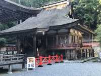 Kyū-Chikurin-in: A Historic Retreat with a Beautiful Garden