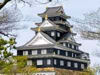 岡山必遊，日本三大名園之「後樂園」