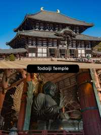 แจกแพลนเที่ยวเมือง Nara แบบ 1 day Trip 🦌