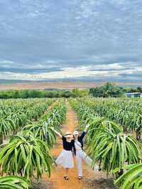 Tour tham quan mũi né 