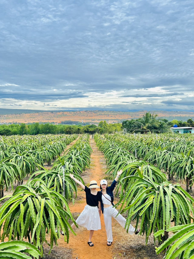Tour tham quan mũi né 